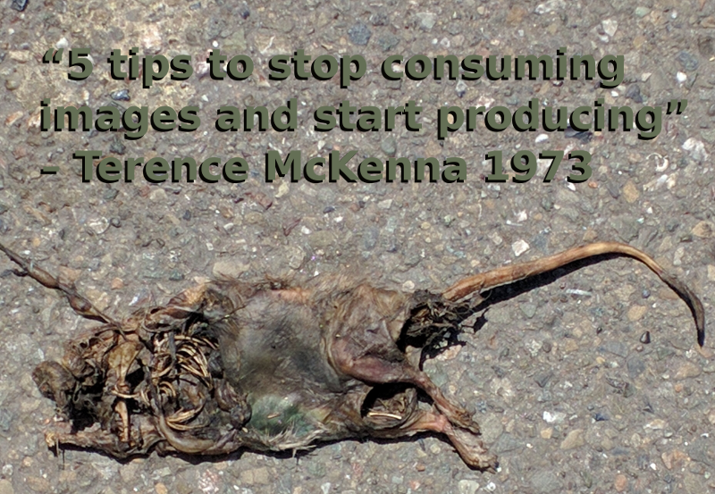 A picture of a desiccated rat on pavement with the caption "5 tips to stop consuming and start producing attributed to Terrance McKenna