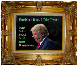 President Donald John Trump - with text Super Callous, Fragile Sexist, Extra Braggadocious. Triple chins in ornate gilt frame.