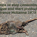 A picture of a desiccated rat on pavement with the caption "5 tips to stop consuming and start producing attributed to Terrance McKenna